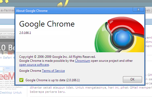 Google Chrome 2.0.1.166.1