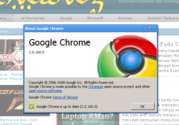Google Chrome 2.0.160.0