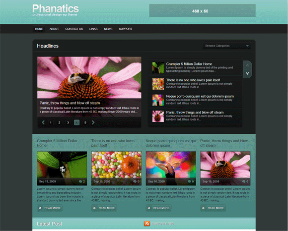 KreativeThemes - Phanatics