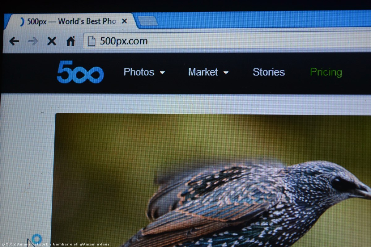 500px Memperkenalkan Sokongan Perlesenan Creative Commons