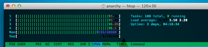 htop cpu maxed out