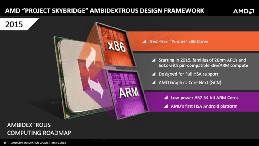 AMD Skybridge