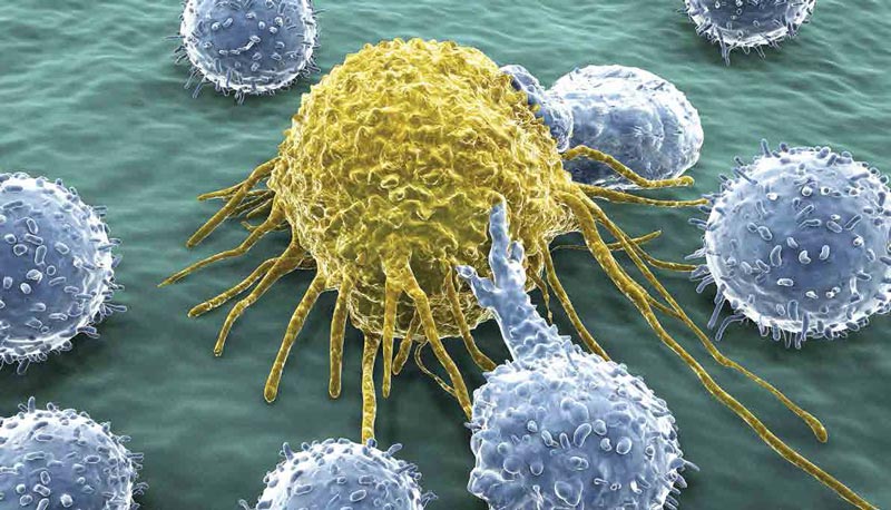 Sel-T-membunuh-kanser