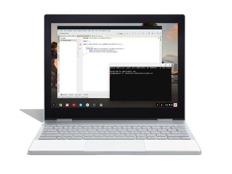 Chrome OS Linux