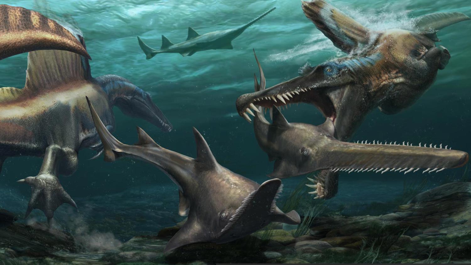 Penemuan Baharu Menunjukkan Spinosaurus Sebenarnya Dinosaur Akuatik