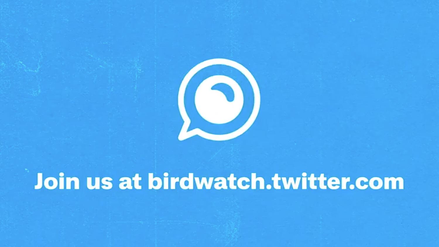 Twitter Memperkenalkan Birdwatch Untuk Mengekang Penyebaran Maklumat Tidak Sahih