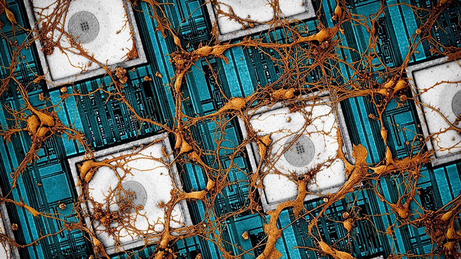 Samsung Ingin Membangunkan Cip Neuromorfik Yang Mirip Otak Manusia