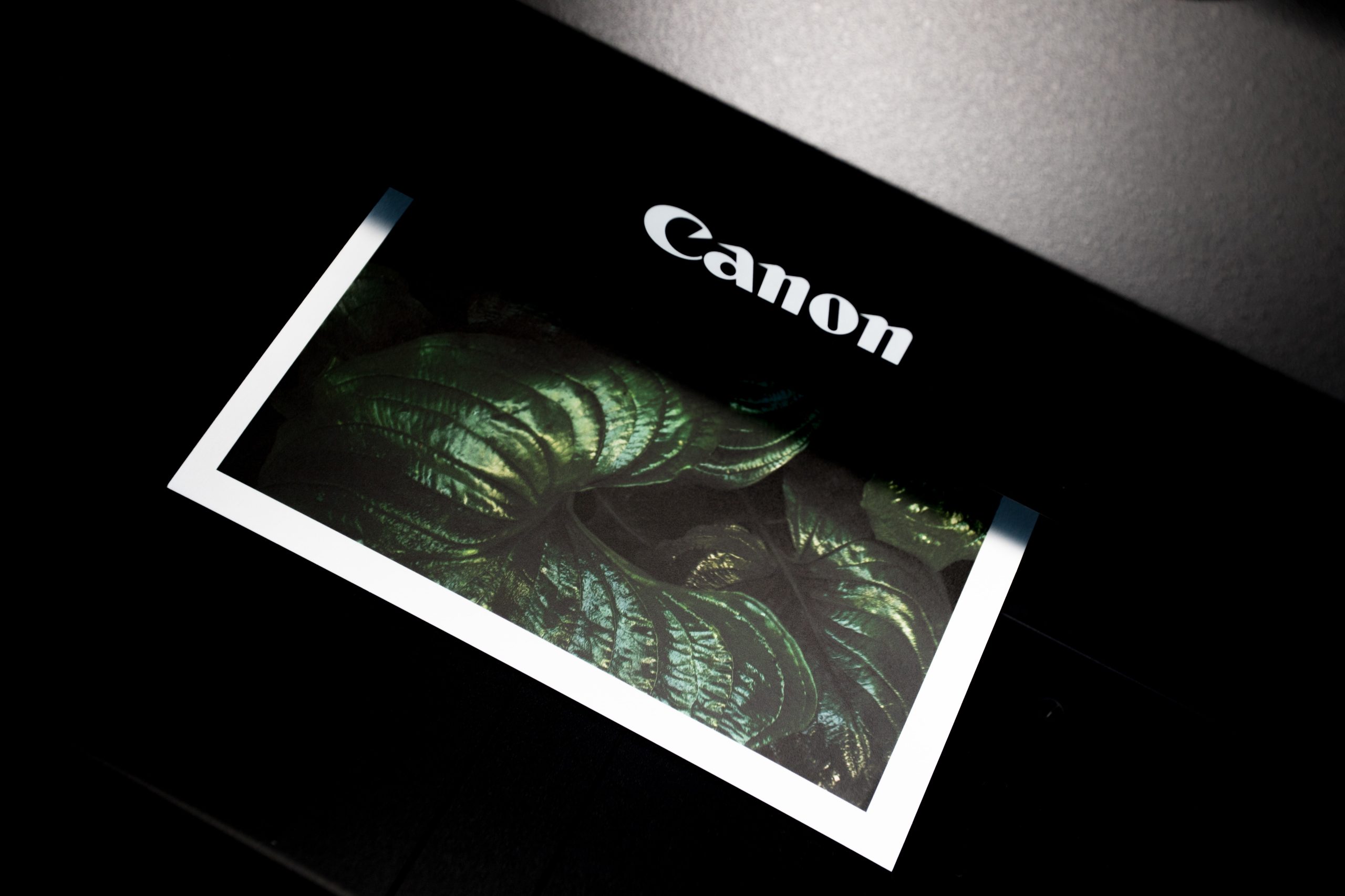 Canon Memperkenalkan Kedai Atas-Talian Rasmi Di Malaysia