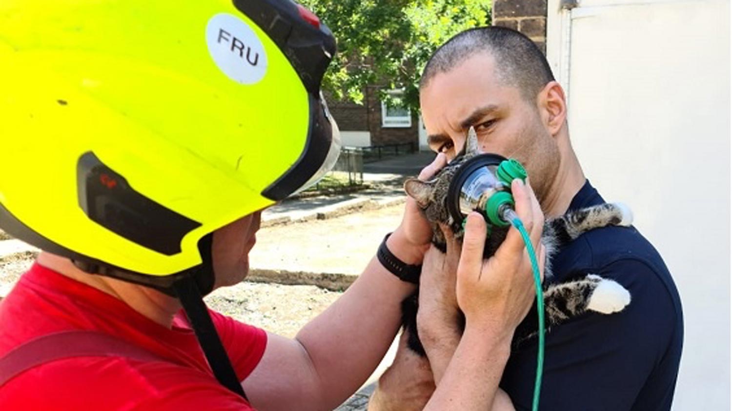 Topeng Oksigen Untuk Haiwan Peliharaan Kini Diuji Bomba London