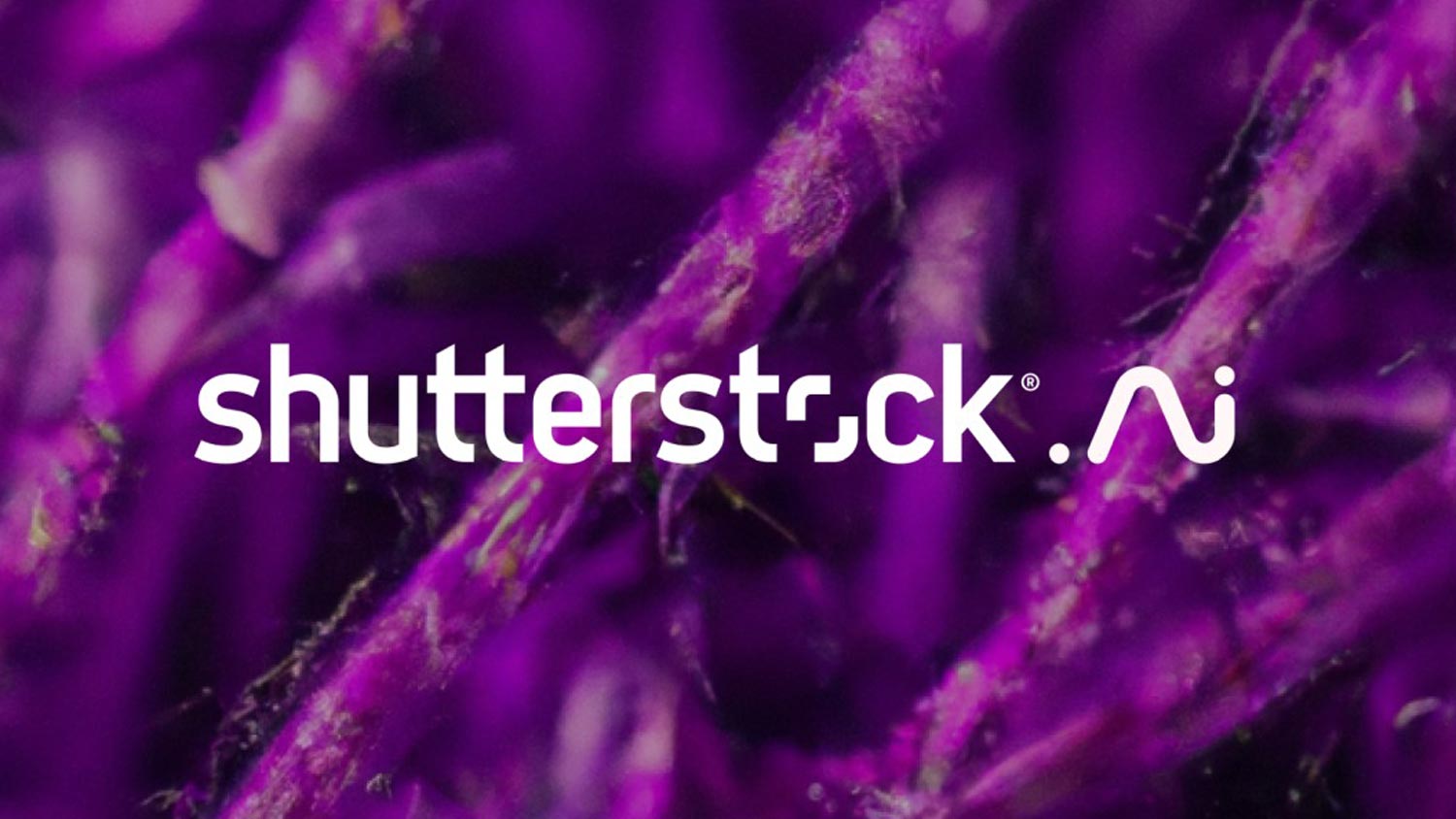 Shutterstock Akan Menjual Imej Stok Yang Dijana Dall.E 2