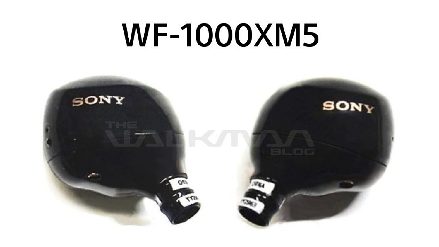 Sony WF-1000XM5 Sekali Lagi Tertiris Mendedahkan Beberapa Spesifikasi