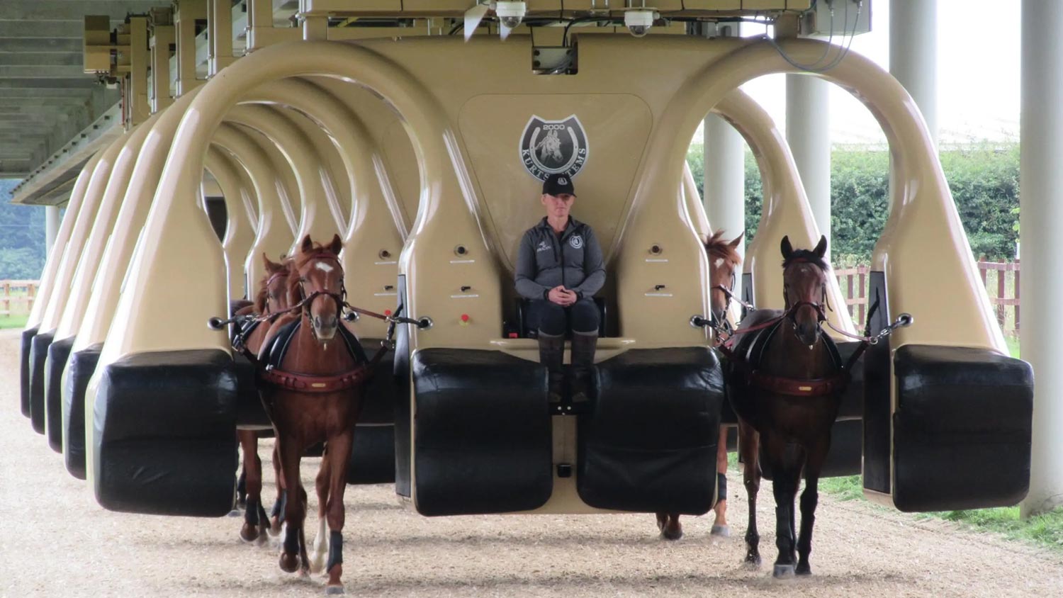 Kurtsystem Ialah “Roller Coaster” Untuk Kuda Berharga RM 115 Juta