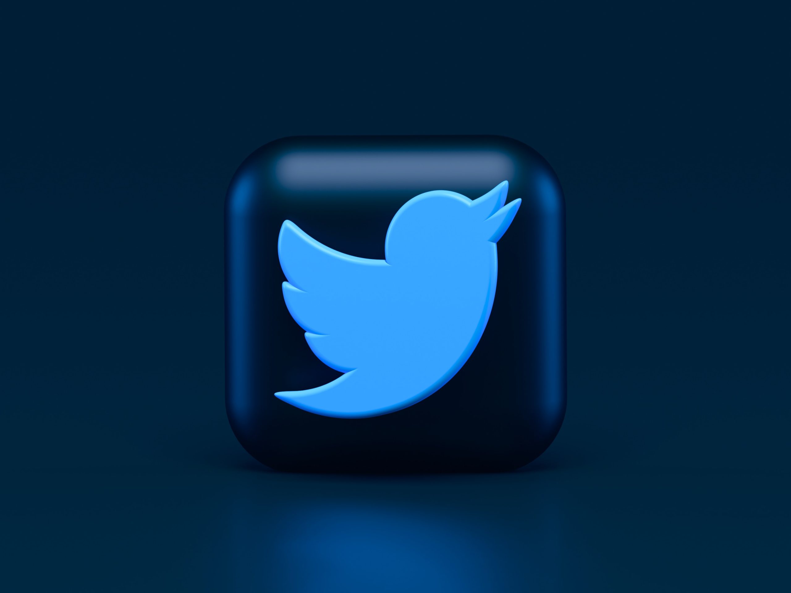 Twitter Ingin Memfokuskan Video Dan Edagang Dalam Meningkatkan Pendapatan